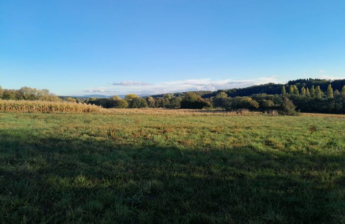 Réf: 11193*** Sundgau - Hirsingue: Magnifique terrain env. 22 ares — photo 4