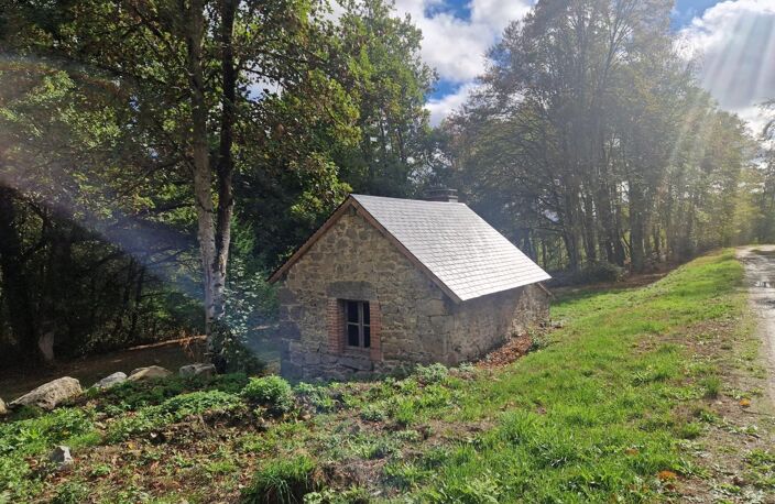 Idéal  investisseur et famille — photo 2