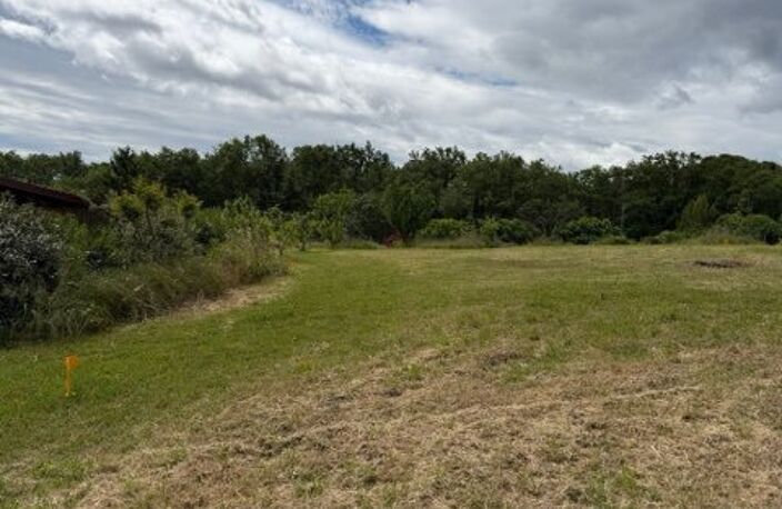 Terrain — photo 2