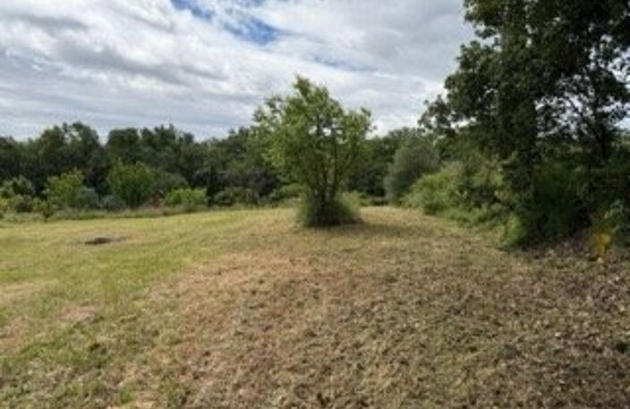 Terrain — photo 4