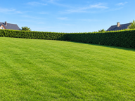 Vente Terrain à bâtir 900 m&sup2; — photo 3