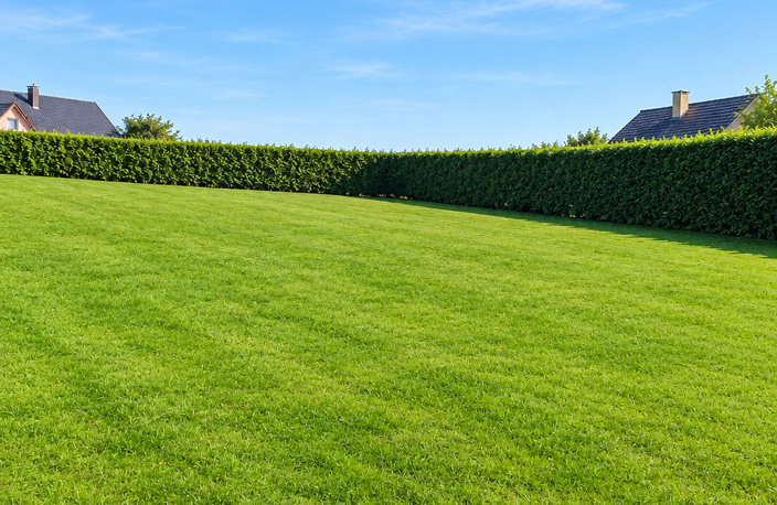 Vente Terrain à bâtir 900 m&sup2; — photo 3