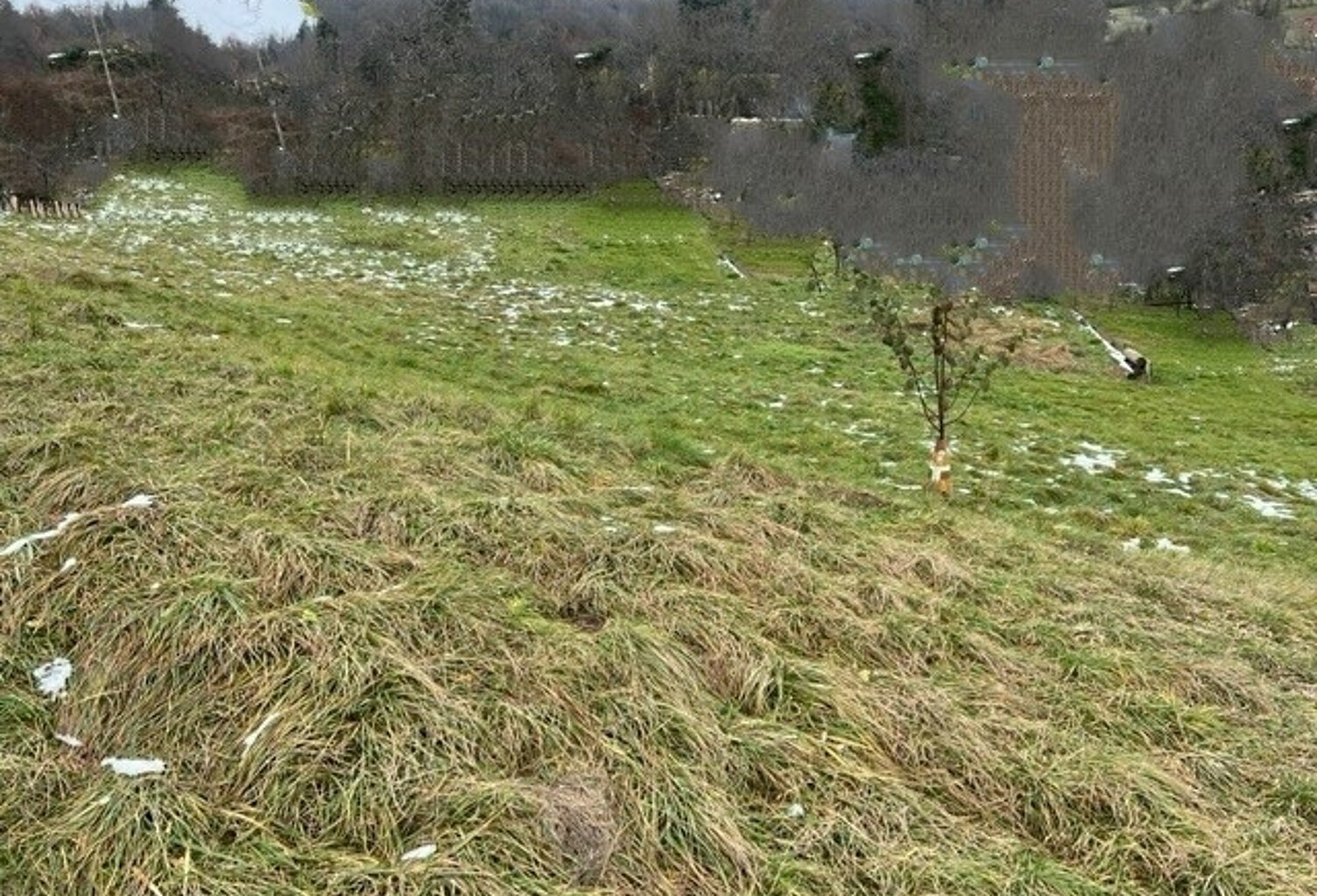 Terrain à viabiliser libre constructeur POISY — photo 1