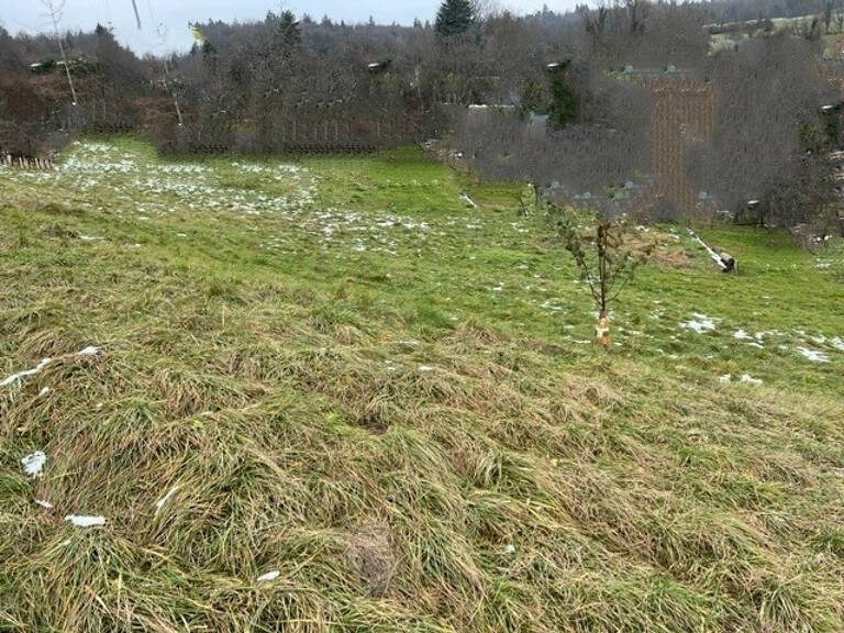 Terrain à viabiliser libre constructeur POISY — photo 1