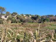 
        Terrain

        

        
       — photo 2