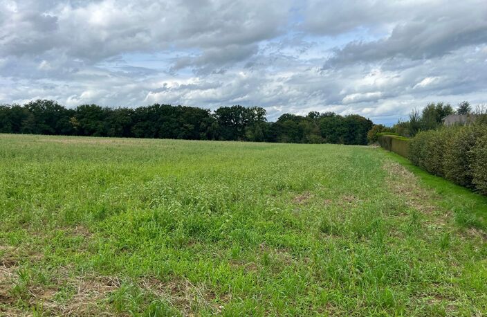 Vente programme neuf  Delle (90100) — photo 2