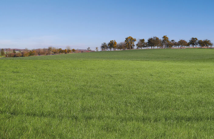 Vente terrain   Waldwisse (57480) — photo 4