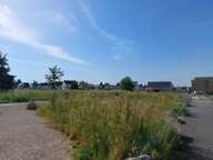 
        Terrain

        

        501 m²
       — photo 2