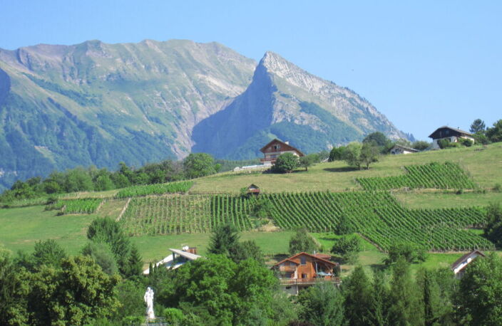 Vente programme neuf T2, T3, T4 41 à 77 m² Albertville (73200) — photo 4