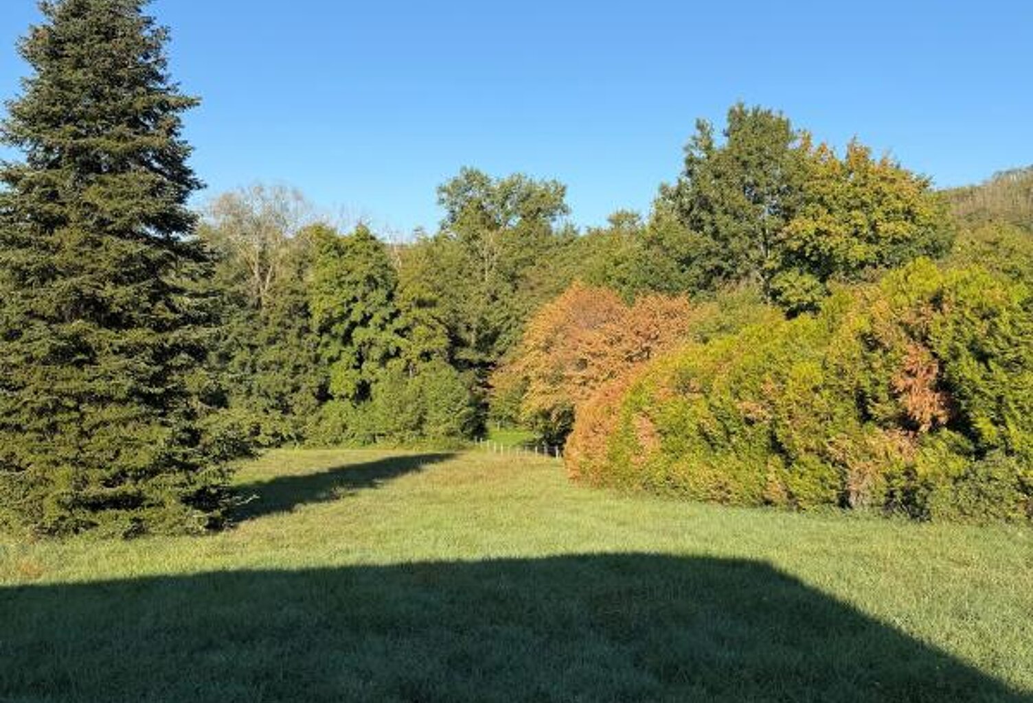 Terrain À Vendre — photo 1
