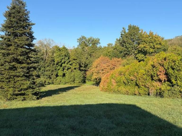Terrain À Vendre — photo 1