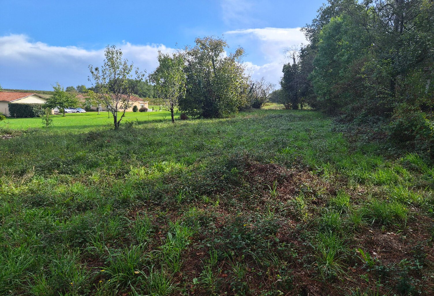Terrain à bâtir à Gours (33660) — photo 1