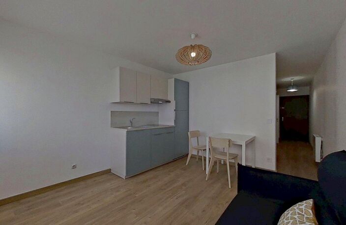 50 rue de la Thibaudiere Lyon 69007 - T1 Meublé - 760 €CC — photo 2