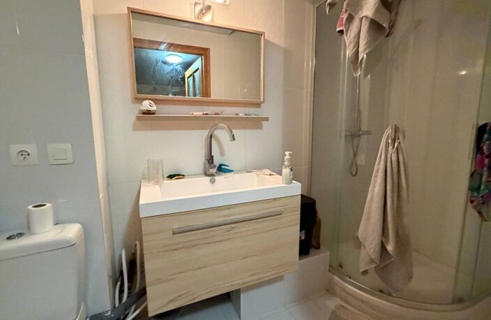 SALLANCHES atypique 2 lots appartements locaux — photo 3