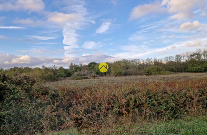 TERRAIN AGRICOLE DE 30510 M² — photo 4