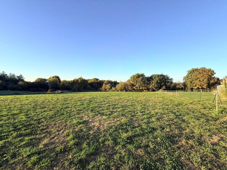 Terrain constructible à Castelnau-Tursan — photo 1