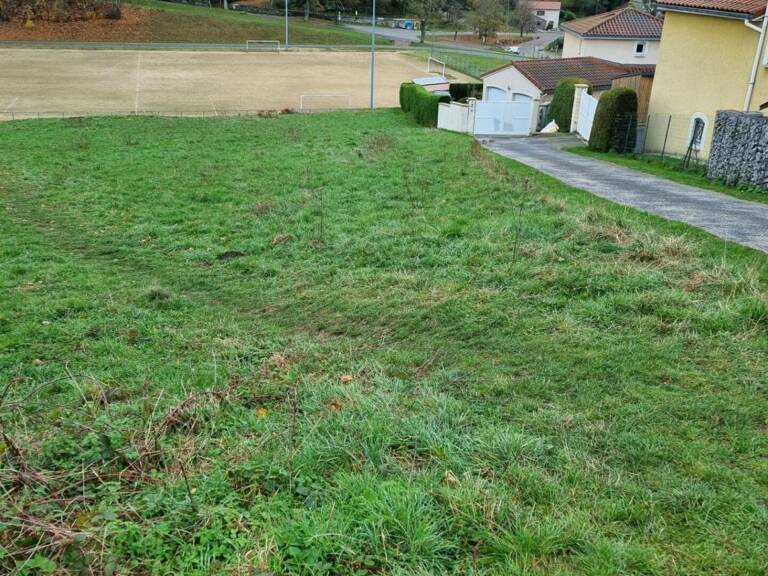 Saint Didier en Velay 43140  parcelle de terrain 1000m² dont 700m² constructible — photo 1