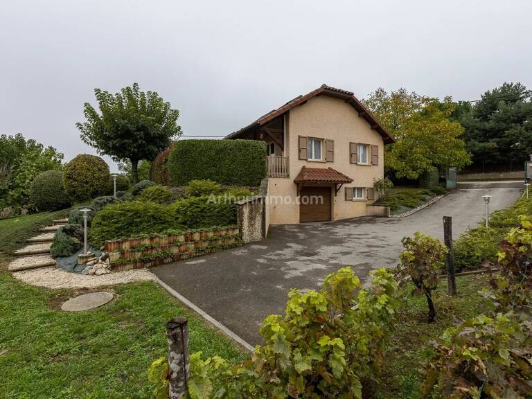 EXCLUSIVITE - RUY MONTCEAU — photo 1