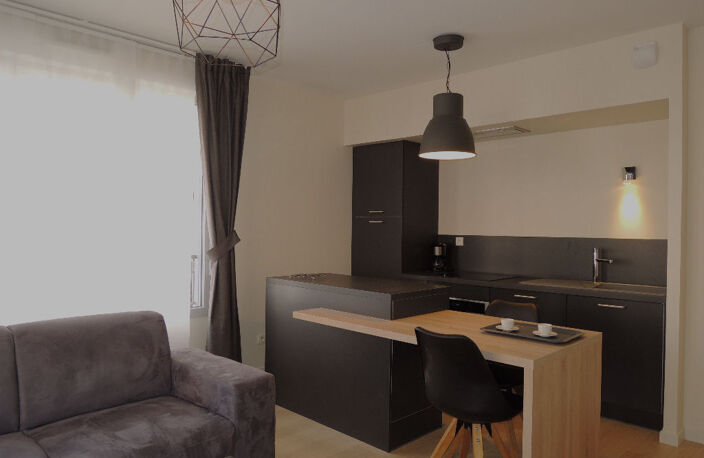 Appartement meublé à louer à lyon 6ème arrondissement cuvier — photo 2
