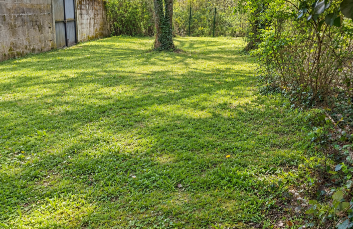 Vente Terrain à bâtir 1 255 m&sup2; — photo 4