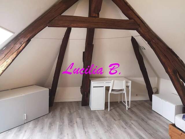 Studio meublé de 10,04 m² à Tours centre — photo du bien