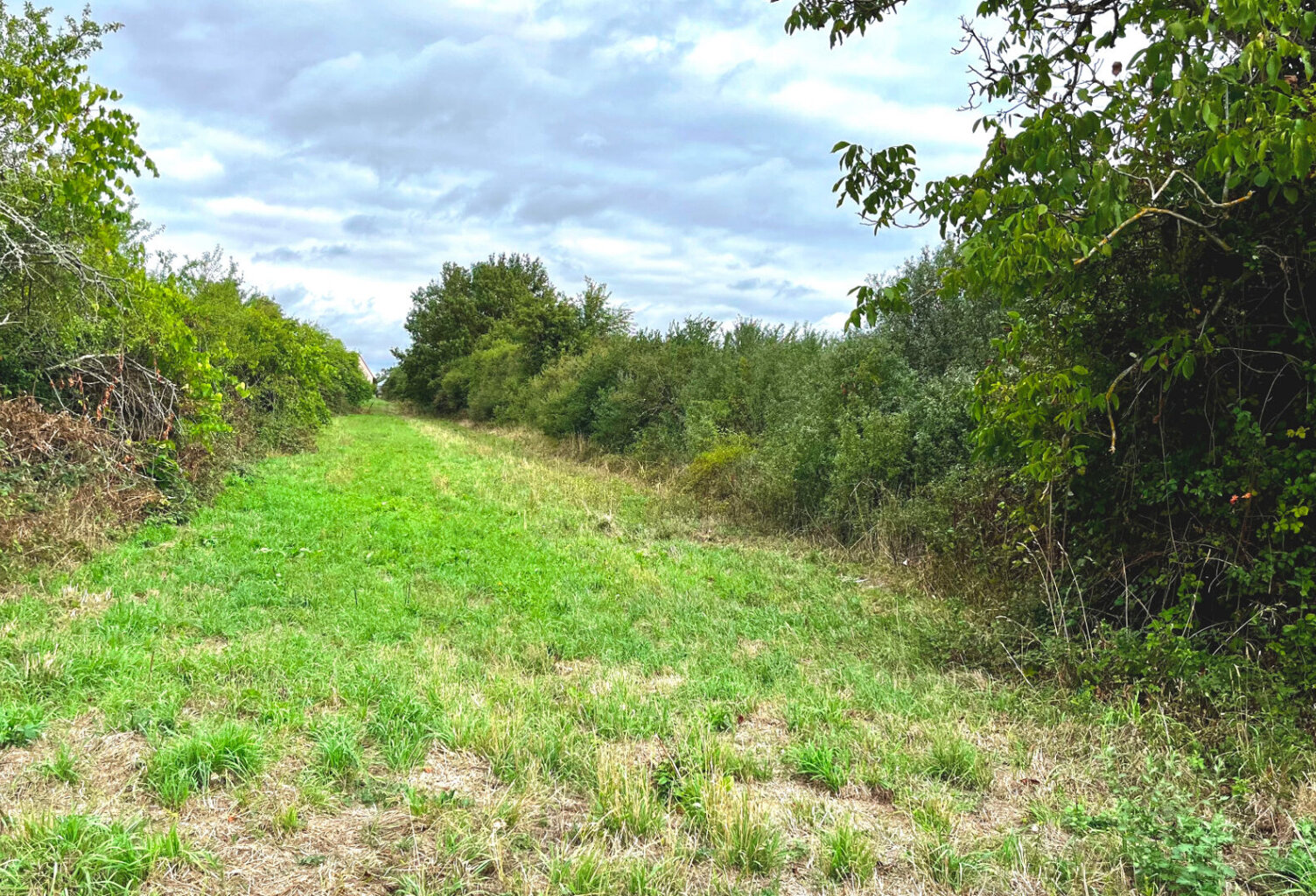 CHARBUY Terr 3400 m² — photo 1