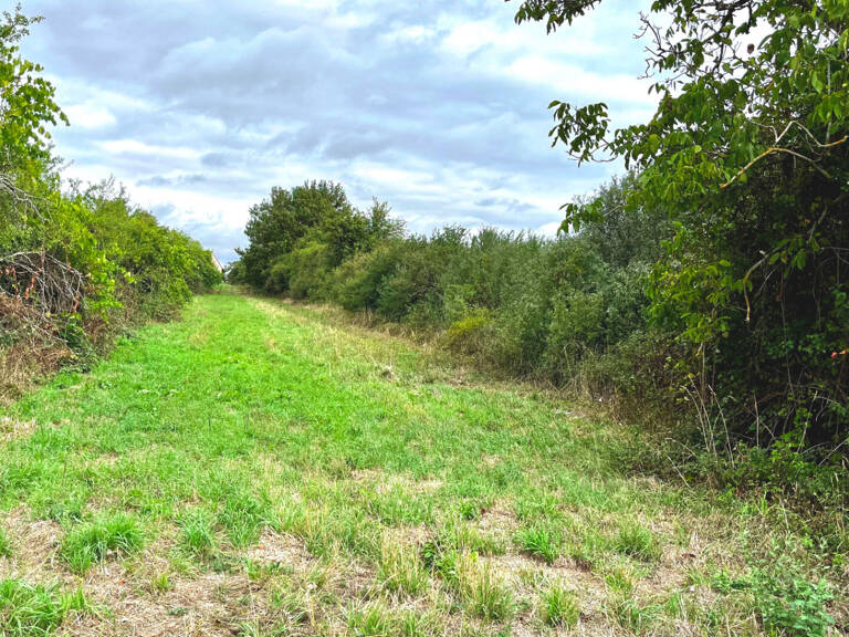 CHARBUY Terr 3400 m² — photo 1