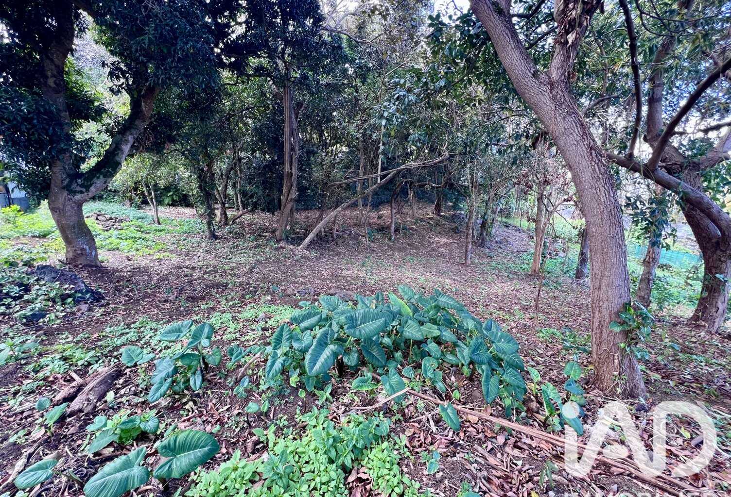 Vente Terrain 438 m&sup2; — photo 1
