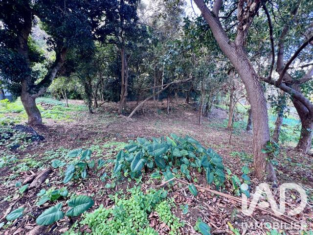 Vente Terrain 438 m&sup2;