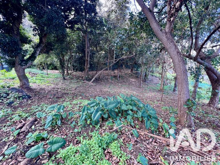 Vente Terrain 438 m&sup2; — photo 1