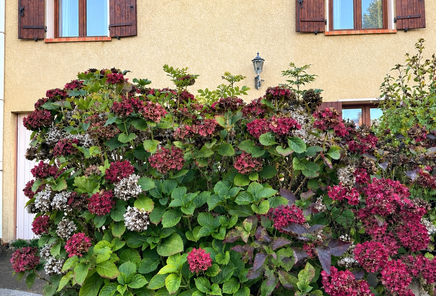 Vente Maison traditionnelle 5 pièces — photo 1