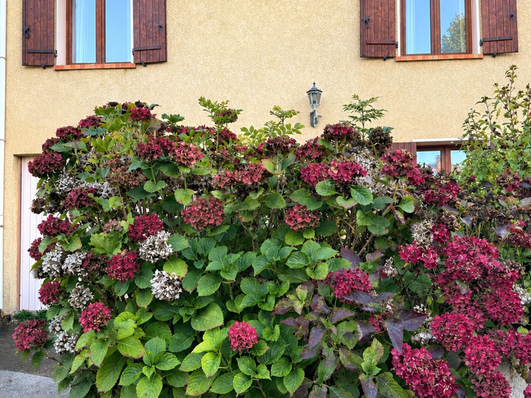 Vente Maison traditionnelle 5 pièces — photo 1