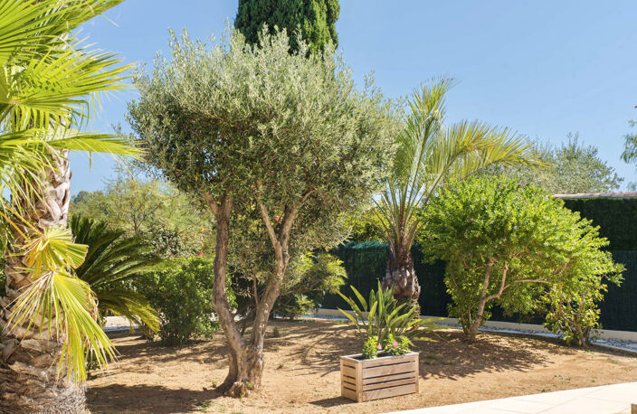 Maison rare avec vie de plain-pied   La Londe-les-Maures — photo 5