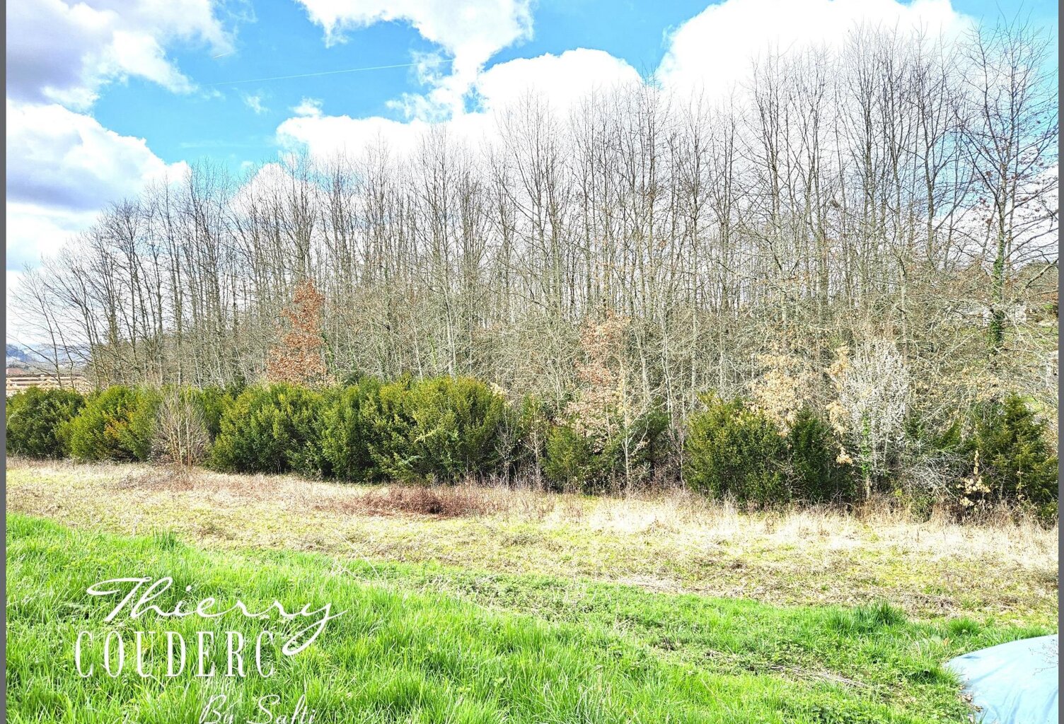 Beau terrain boisé de 5675 m². — photo 1