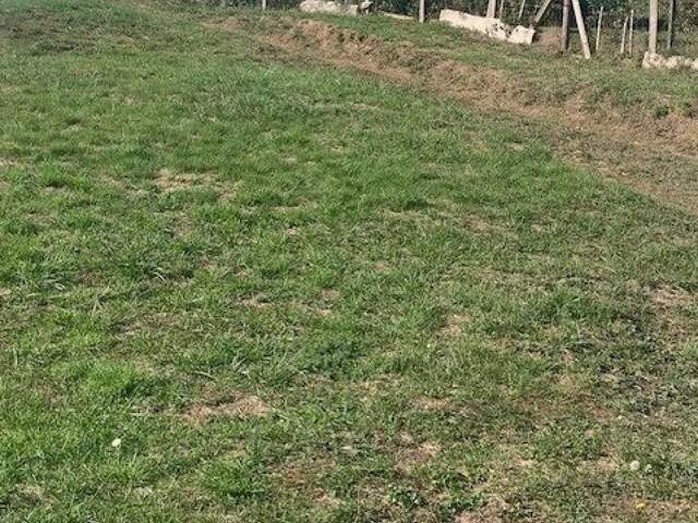 A vendre très beau terrain constructible d'environ 765 m2 — photo du bien