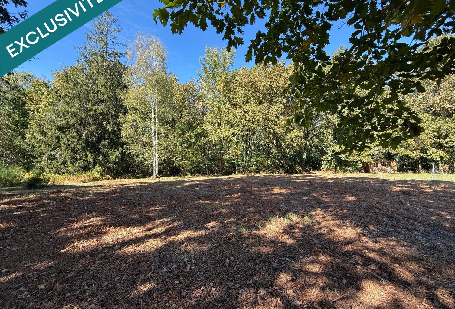 Terrain à bâtir avec bois — photo 1