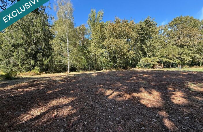 Terrain à bâtir avec bois — photo 4