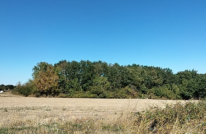 maison de village à restaurer avec terrain et 2 autres parce — photo 5