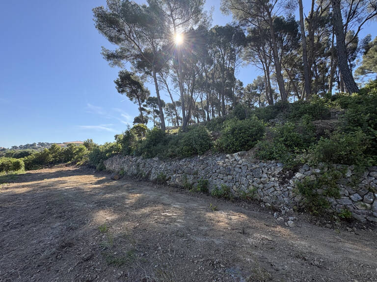 OLLIOULES - TERRAIN A BATIR 6400 M2- VUE DEGAGEE — photo 1