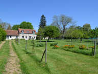 FERMETTE RENOVEE A LA CAMPAGNE — photo 2