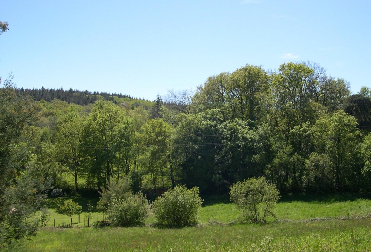 Terrain à batir de 7 503 m² au calme avec 2 parcelles — photo 1