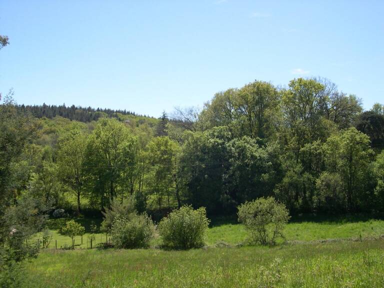 Terrain à batir de 7 503 m² au calme avec 2 parcelles — photo 1