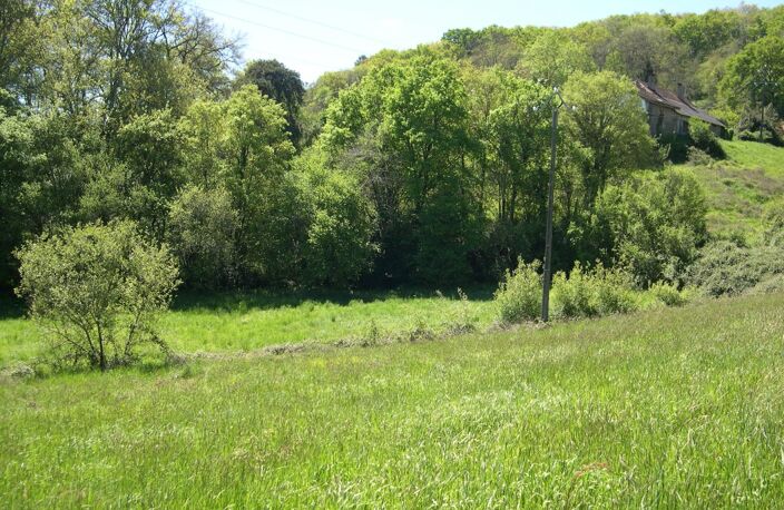Terrain à batir de 7 503 m² au calme avec 2 parcelles — photo 4