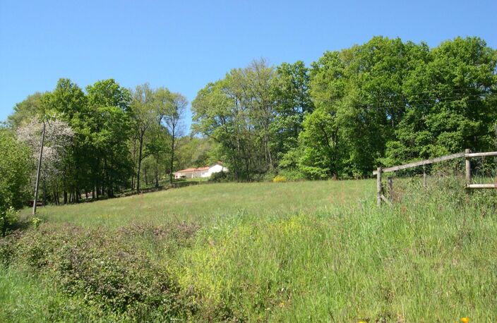 Terrain à batir de 7 503 m² au calme avec 2 parcelles — photo 5