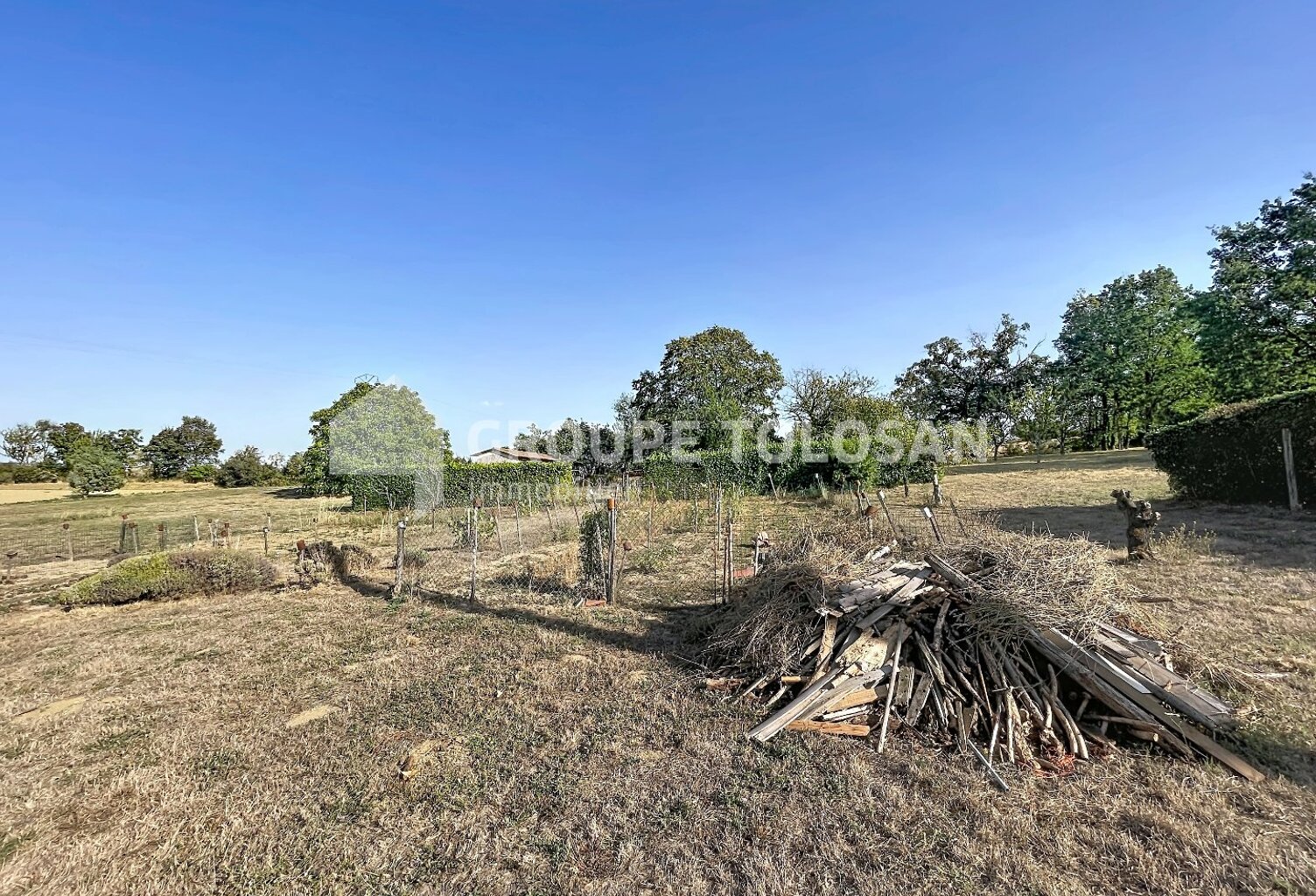 Terrain — photo 1