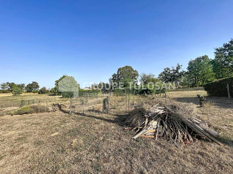 Terrain — photo 1