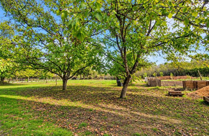 Maison de 106 m² sur un terrain arboré de 4 700 m² — photo 4