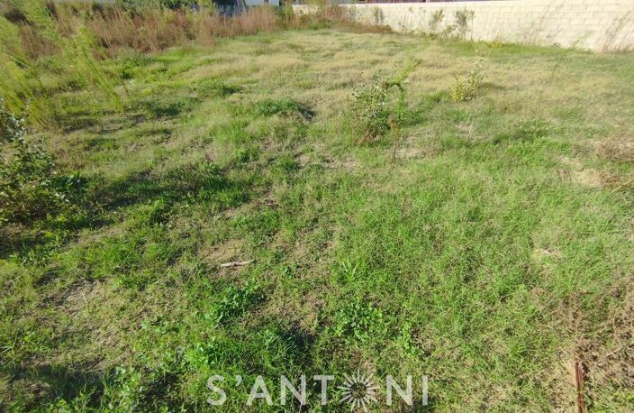 Terrain — photo 3
