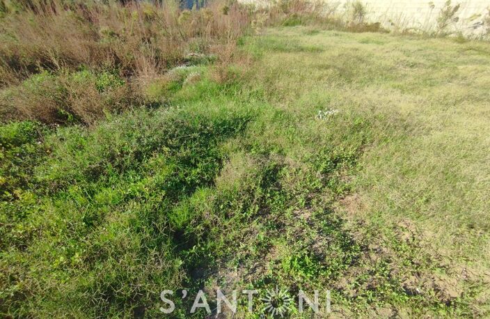 Terrain — photo 5