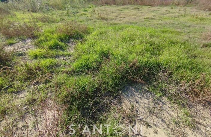 Terrain — photo 2